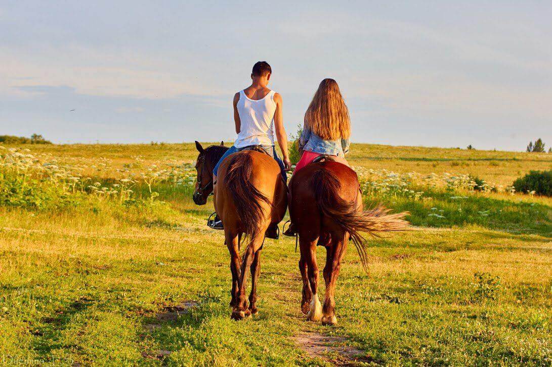 Horseback riding in the park