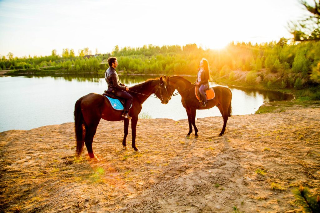 Our beautiful horses in natural surroundings
